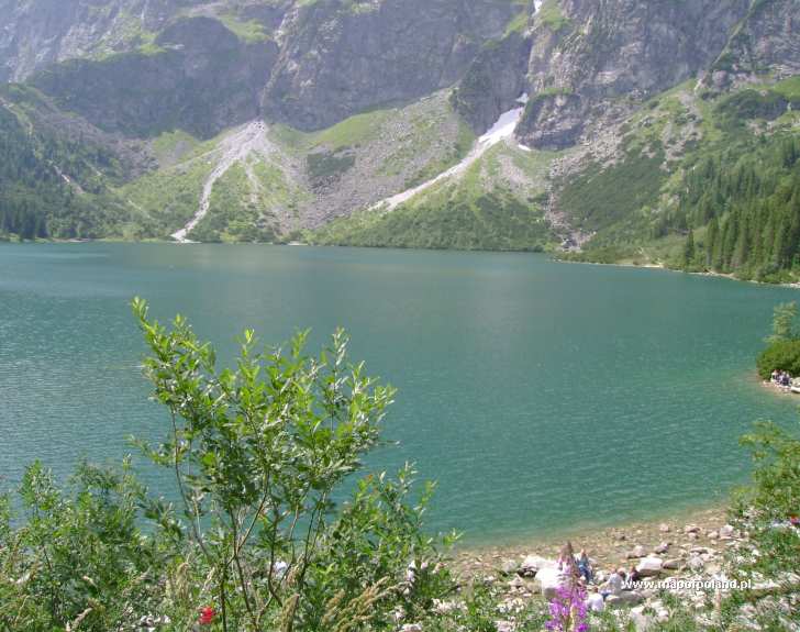 Lake Morskie Oko in the summer in Zakopane - Photo 22/113