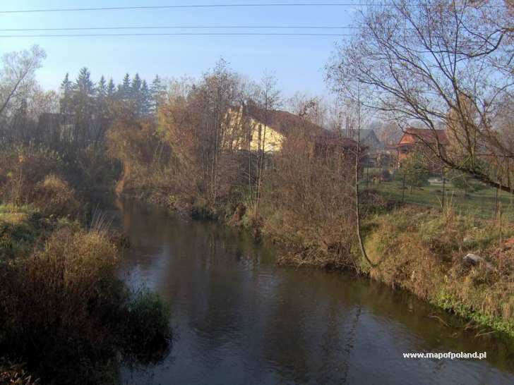 Warta River in Korwinow - Photo 10/16